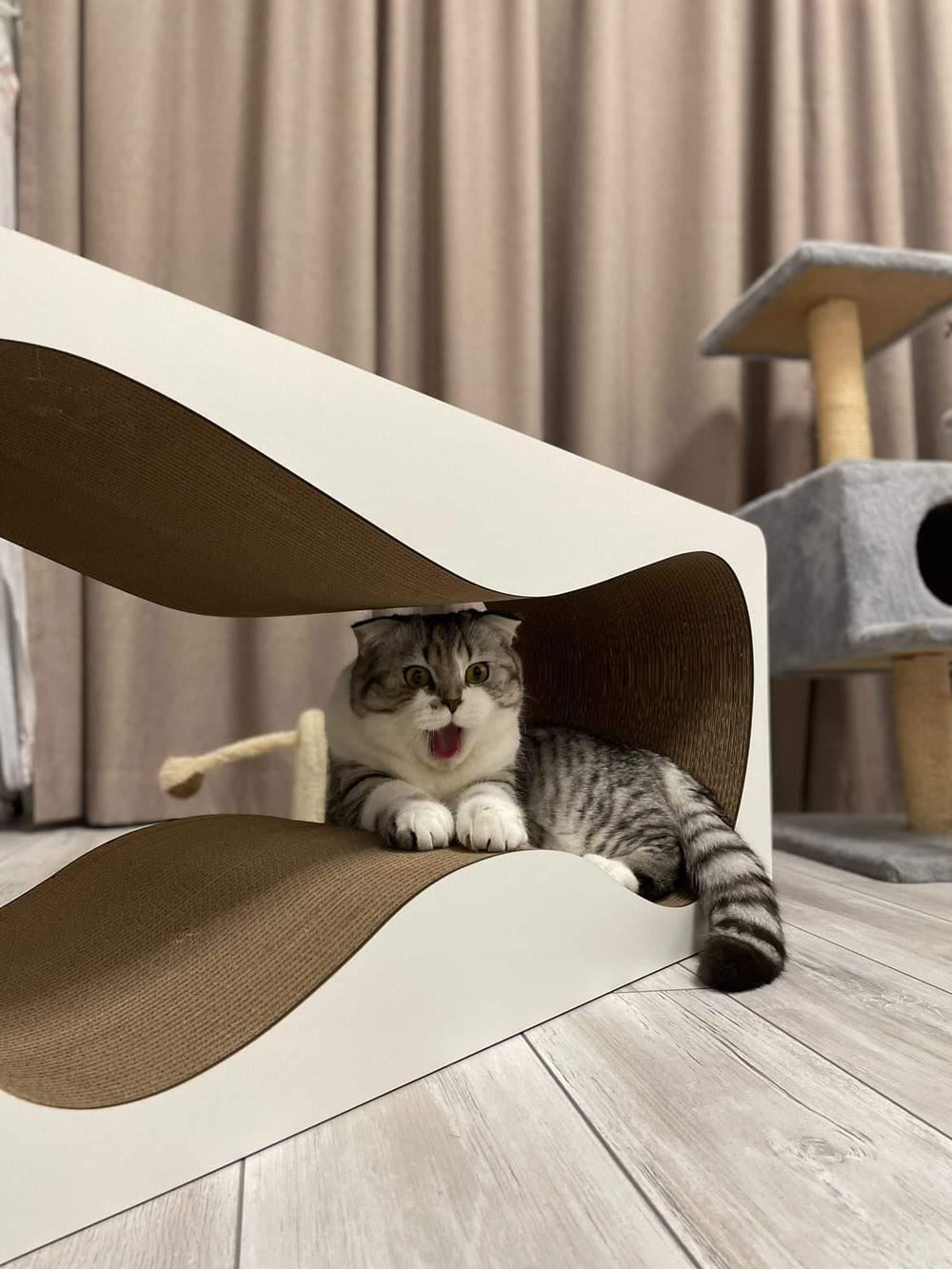 Customer photo: cat relaxing on a white CAT JOY Penthouse XL cardboard cat scratcher house