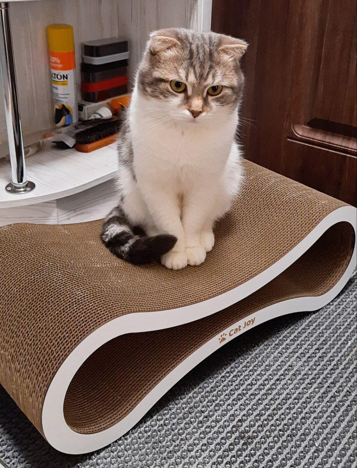 Why are some cat scratchers £8 and others £80? What you actually pay for