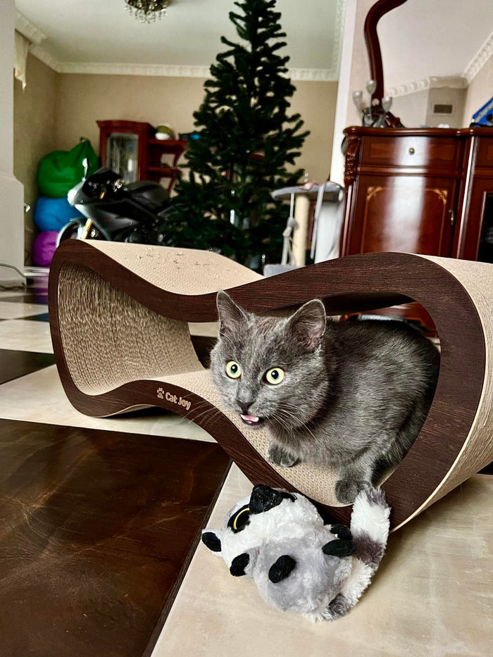 Christmas gifts for cats and cat lovers: a UK guide