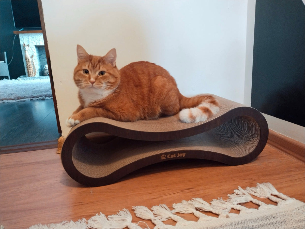 Modern cat furniture: scratchers that look good in your living room