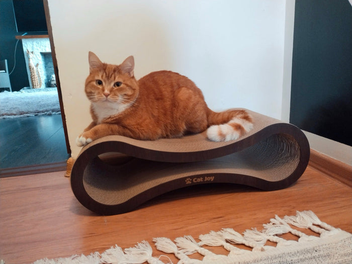 Modern cat furniture: scratchers that look good in your living room