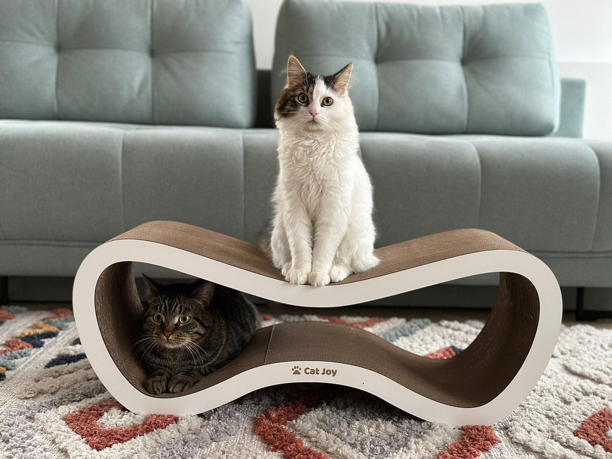 Cat scratcher houses: why cats love a two-level cardboard house