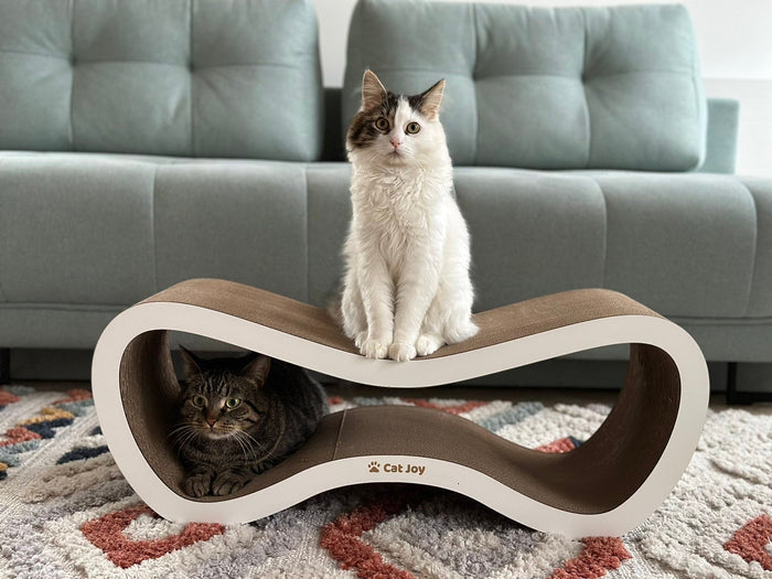 Cat scratcher houses: why cats love a two-level cardboard house
