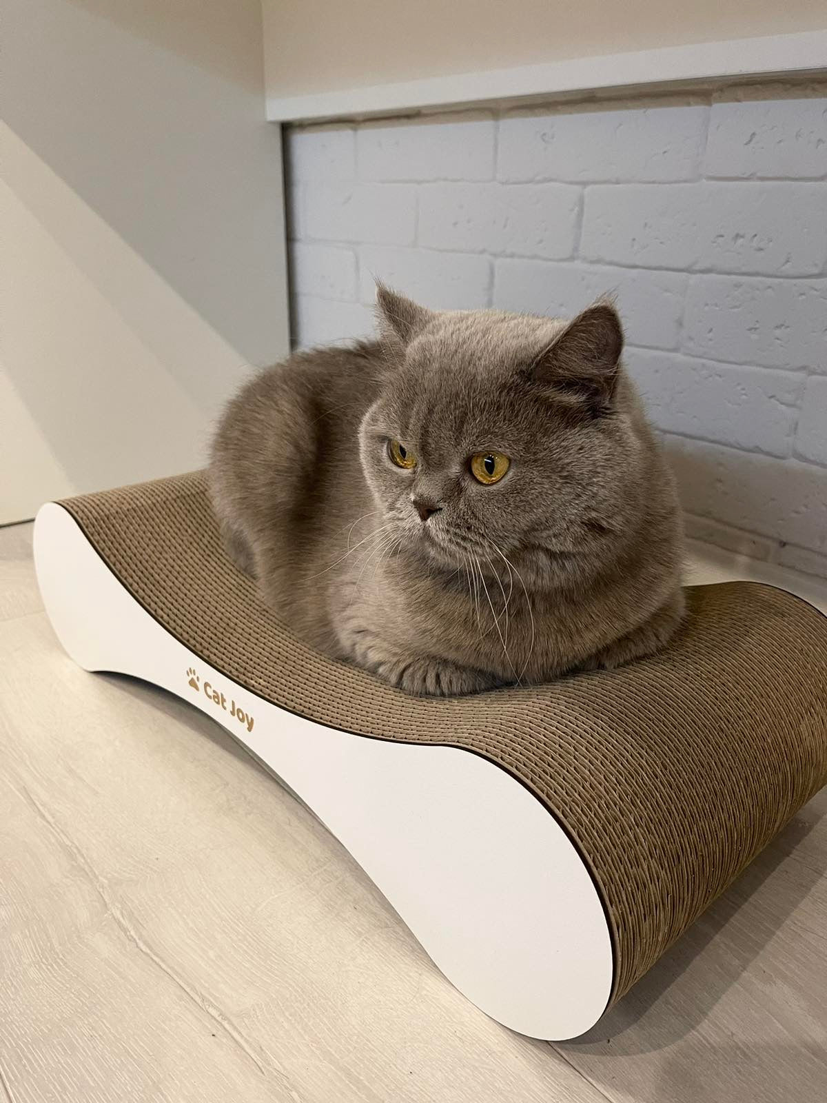 How long does a cardboard cat scratcher last?
