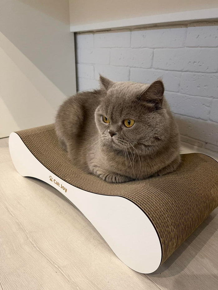 How long does a cardboard cat scratcher last?