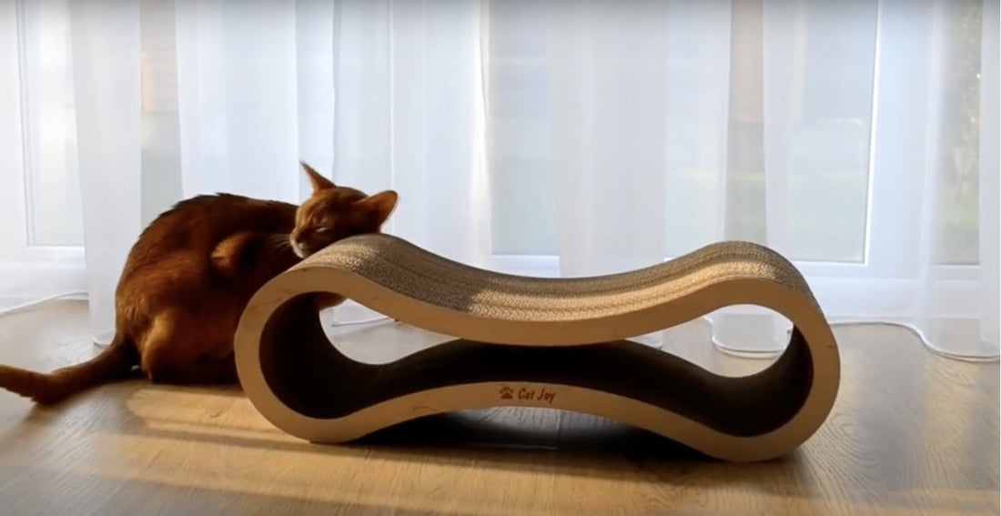 Cat stretching on a horizontal cardboard scratcher