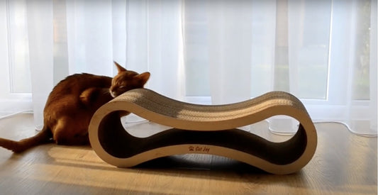 Cat stretching on a horizontal cardboard scratcher