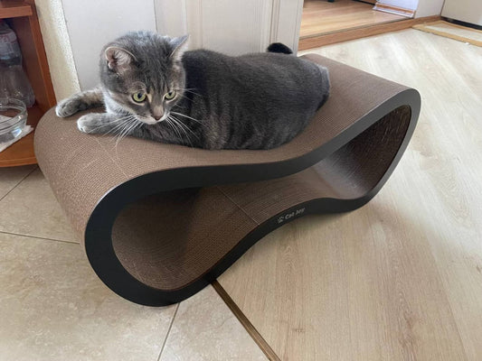 Grey cat lying on a brown Cat Joy scratcher