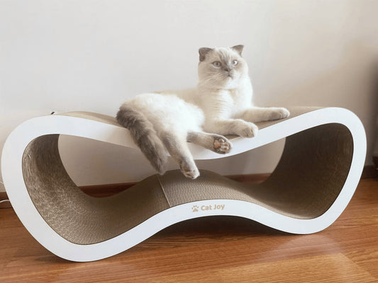 Cat napping on a white Cat Joy cardboard scratcher lounger