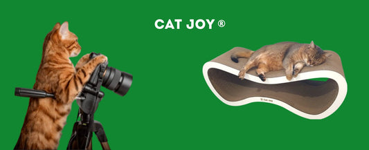 All six Cat Joy scratcher models side by side